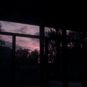 无码免费一区二区三区
