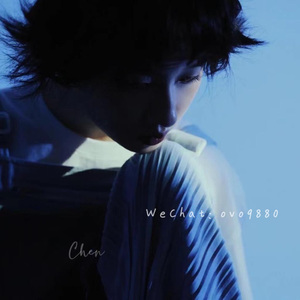 无码免费一区二区三区
