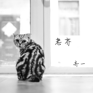 无码免费一区二区三区
